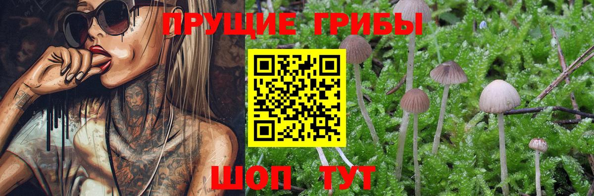 Псилоцибиновые грибы мухоморы  Псилоцибиновые грибы Psilocybine cubensis  Кондопога  Вход с VPN 